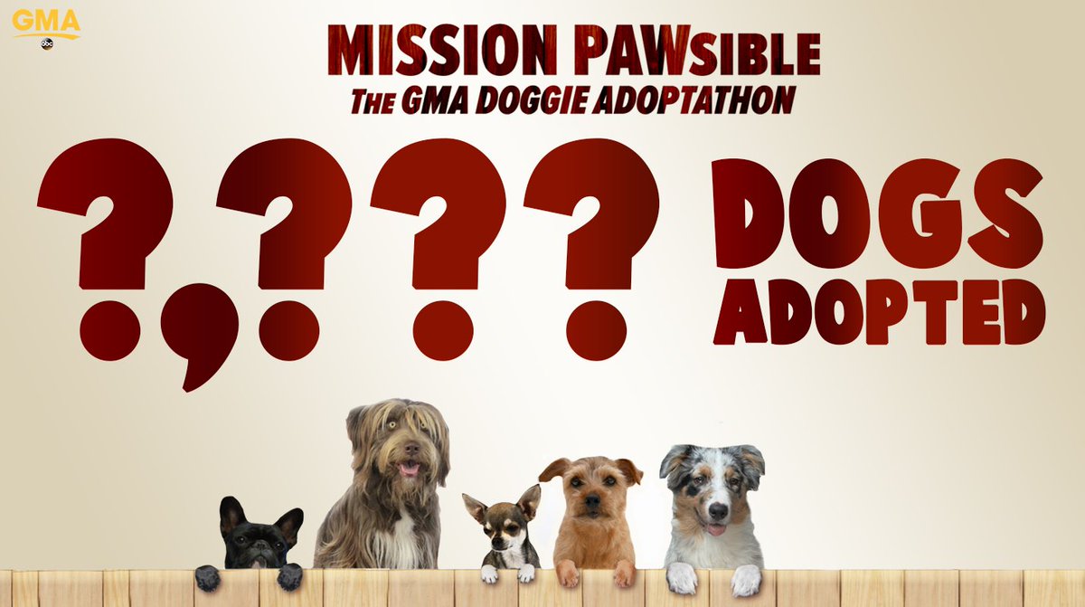 GMA's tweet photo. ON @GMA: Our FINAL adoption tally &amp; our Mission: PAWsible finale LIVE in Times Square alongside North Shore @AnimalLeague! #GMAPAWdoption https://t.co/d6u8M4oeHB