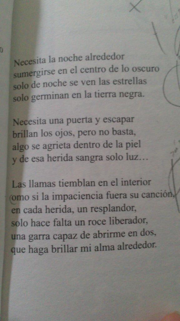 LapsusCalami_es's tweet photo. «La belleza de la bestia», de Sofía Rhei, devuelve el sol a este mediodía de martes. https://t.co/VTRFgo50fK
