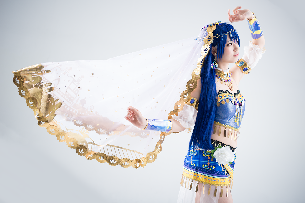 海辺の踊り子 サフィール踊り子＆E257系踊り子デビュー : 風任せ自由人