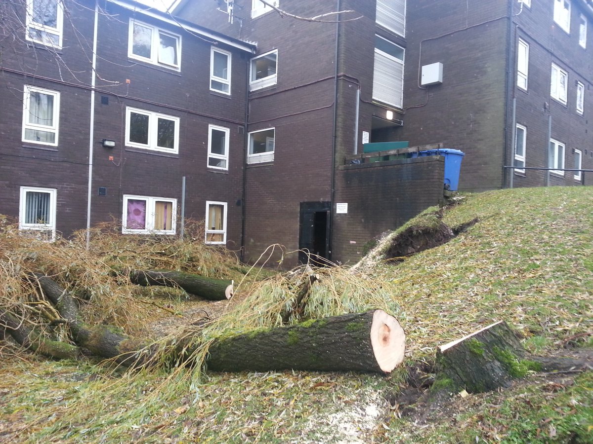 Storm damage on Wallshaw st. Luckily nobody hurt. Lovely old trees, shame.