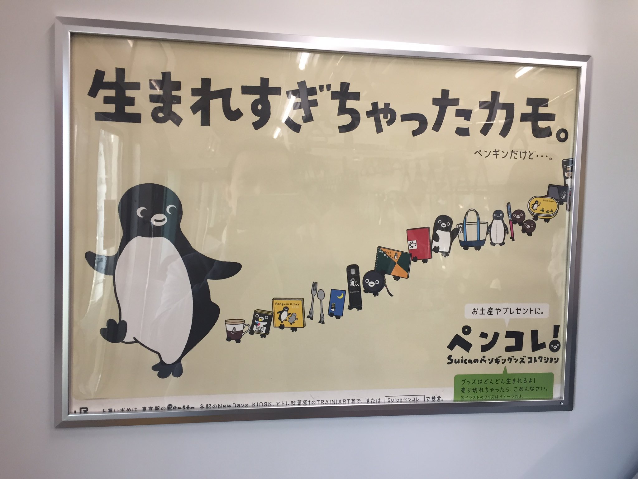 Kot Ujihara ゆなつくち モモンガ Jr北海道 Kitaca のキャラクター がここ 南武線客室妻面広告 に出る日は 鉄道 金銭欲 T Co 8x6r8yyduy Twitter