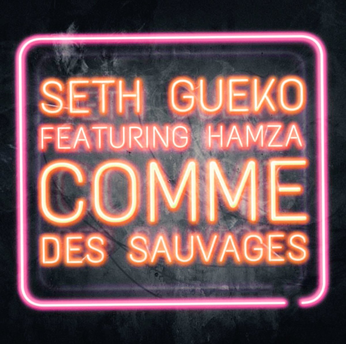 sethgueko's tweet photo. CLIP #commedessauvagesfezt @HamzaThugMusic jeudi à 18h https://t.co/CzyOqjdXdu
