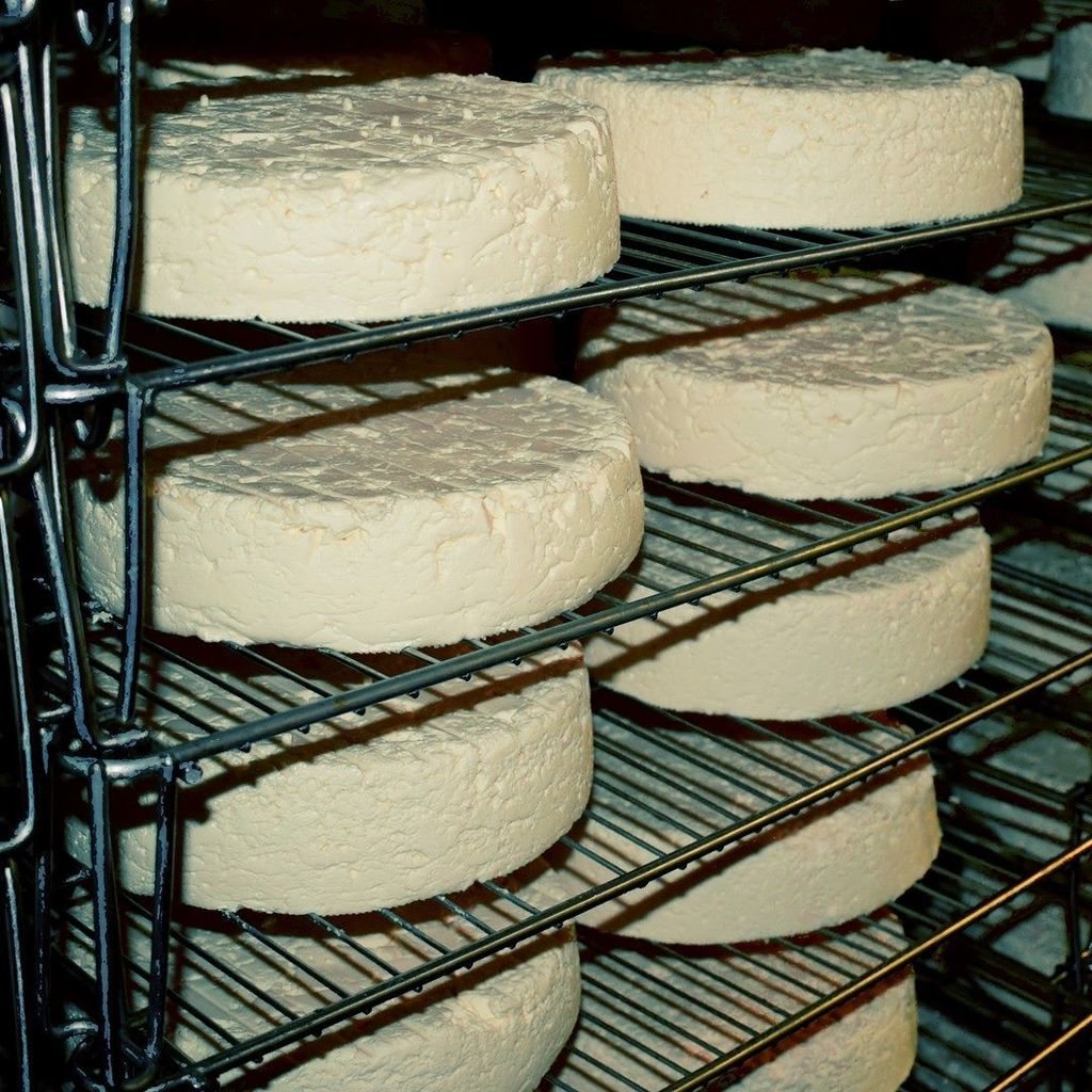 Yes, young ones, you too can grow up and win a gold medal at the World Cheese Awards! Cong… ift.tt/2gciw4N