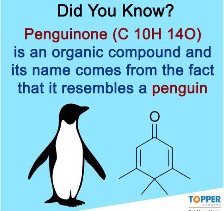 S name comes from the. Эмми имя для девочки. Мичиган презентация. S name comes from the. S name comes from the.