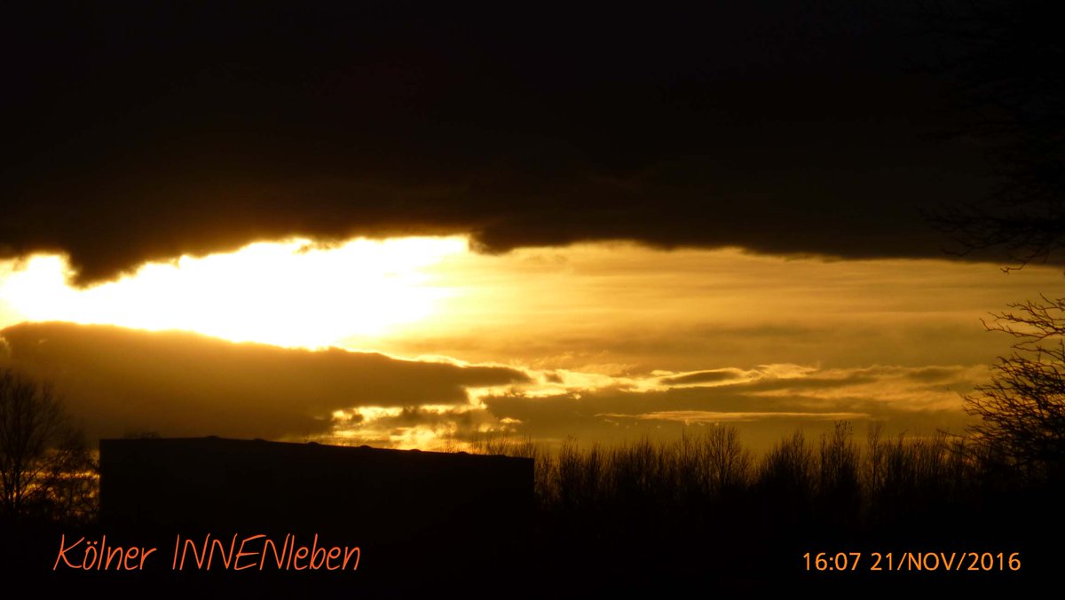 Novemberglühen in Junkersdorf #365koeln #thisiscologne #schönergehtskaum