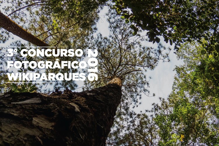 Mostrar ao mundo os seus talentos fotográficos em imagens registradas nos parques e áreas protegidas do pais! ow.ly/3soU306q1Un