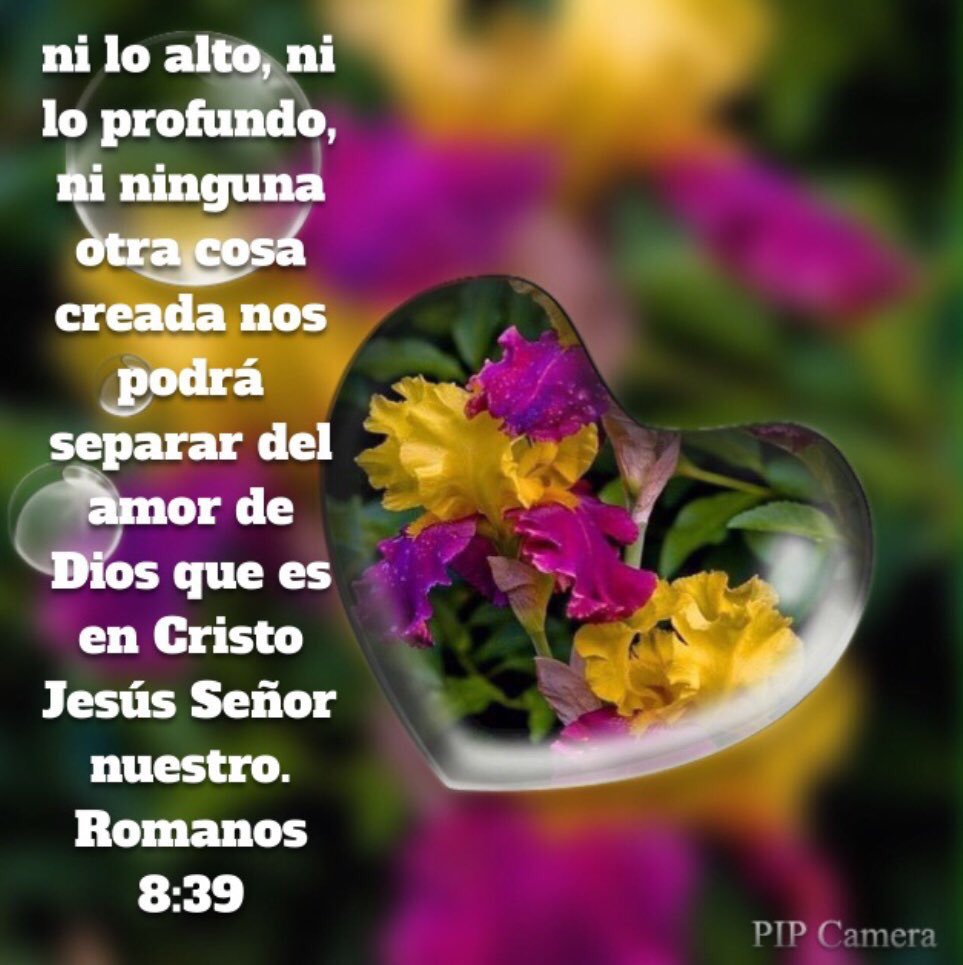 Ida_Aurora's tweet photo. @muterita54 @mmm220367 @ABA2016DIA @maria28rodry @mariael85894879 @ElsaVt28 @MMollinedo1 @gustavoomarrom2 Amén!saludos bellas hnas.DiosLbend https://t.co/YyMyOuLyLz