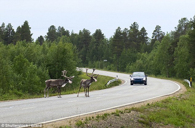 bcnewcar's tweet photo. 10 super weird road safety rules from around the world https://t.co/Q2NlE20vJR https://t.co/s0giLnwn8n