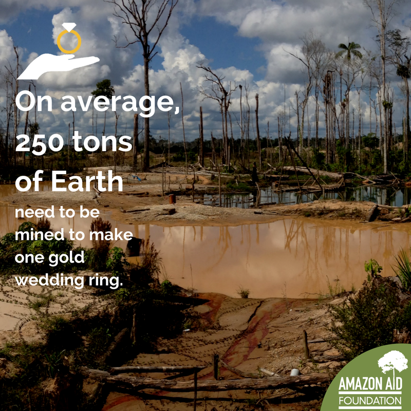 AmazonAidF's tweet photo. Why give back to the Amazon on #GivingTuesday? Because a cleaner, healthier planet is a gift to us all https://t.co/A4J1RPLzmJ #WhyTheAmazon https://t.co/V3WB1zca4D