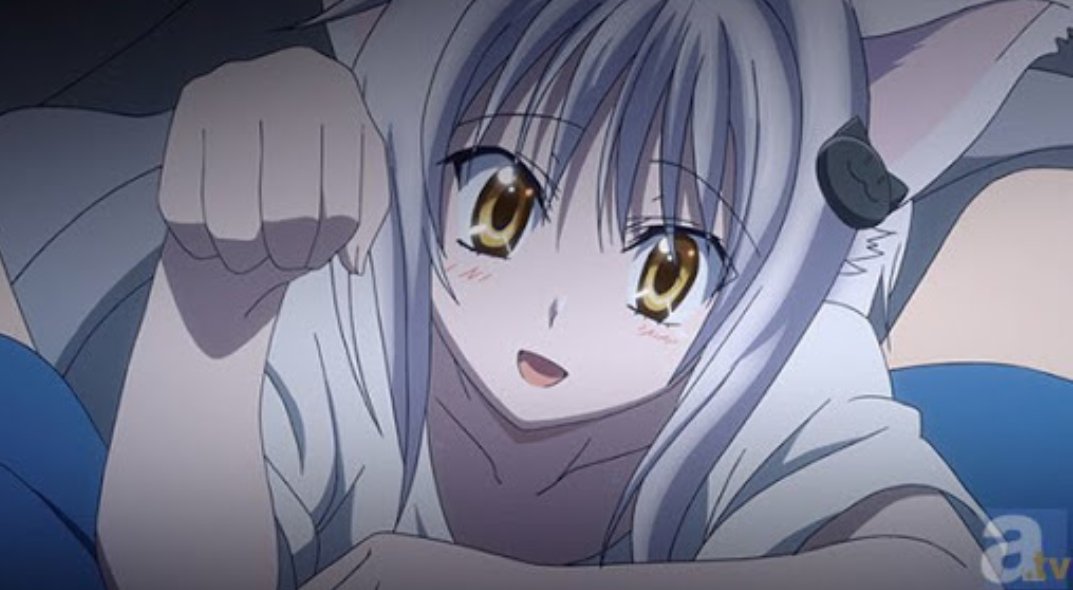 きんき アニメ好き 11月23日はハイスクールd Dの子猫ちゃん 搭乗子猫 の誕生日です 子猫ちゃんちゃんお誕生日おめでとう 塔城小猫生誕祭 塔城小猫生誕祭16 11月23日は塔城小猫の誕生日 小猫ちゃん好きな人rt ハイスクールdxd Rtした人全員 きんき アニメ好き 11月23日はハイスクールd Dの子猫ちゃん 搭乗子猫 の誕生日です 子猫ちゃんちゃんお誕生日おめでとう 塔城小猫生誕祭 塔城小猫生誕祭16 11月23日は塔城小猫の誕生日 小猫ちゃん好きな人rt ハイスクールdxd Rtした人全員