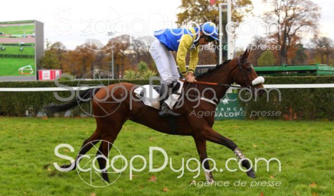 Bienvenue àl'#ecurie