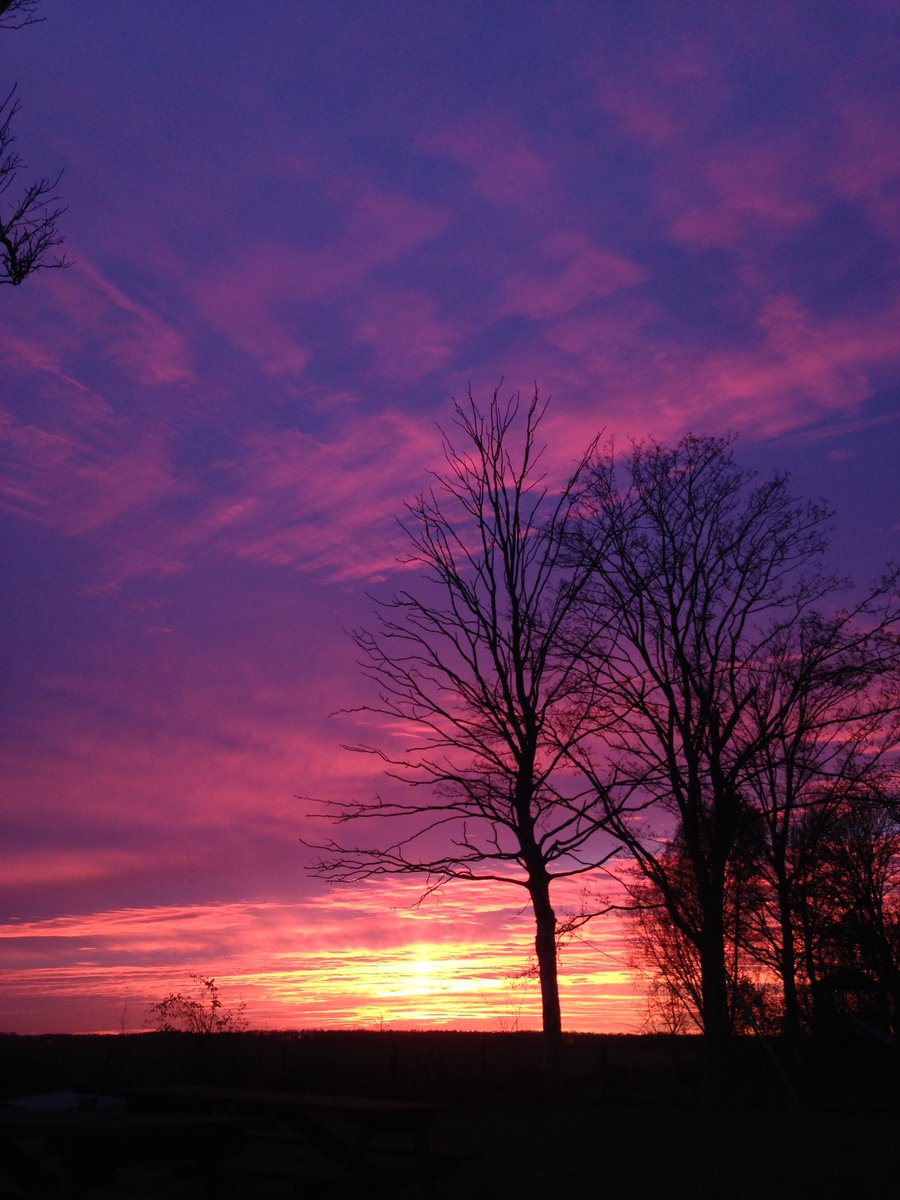 Mooi die laatste zonnestraaltjes!!! #herfst #schokland #