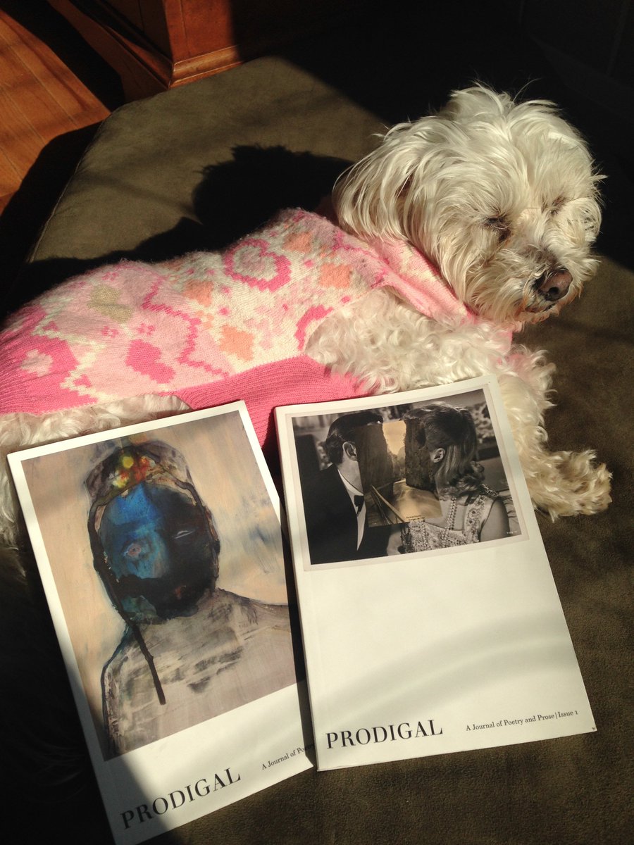 prodigallitmag's tweet photo. Sisi the Maltese enjoys reading Prodigal in the sunshine. #PetsOfProdigal https://t.co/P43dhX2XSK
