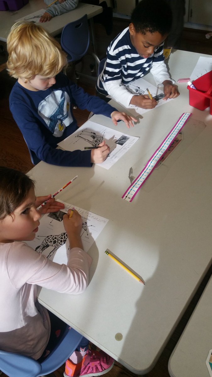 Evie_YGH's tweet photo. Star Warriors learning about The 8 Animal Characteristics. #Science #allaboutanimals #1stgradelearning @HearstRm219 @HearstPrincipal https://t.co/rrBxO9j3iq