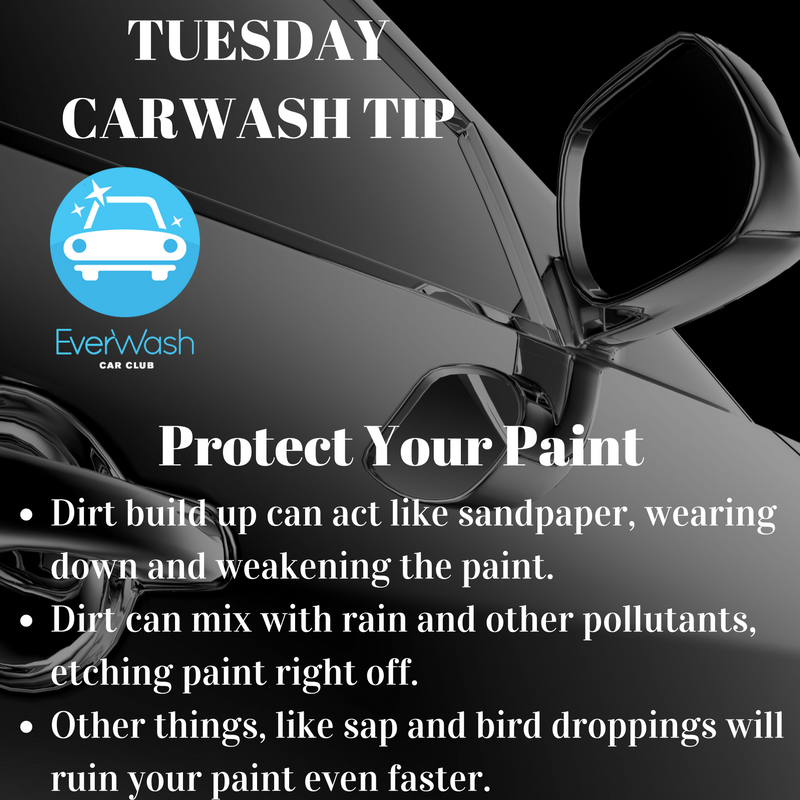 EverWash's tweet photo. #tuesdaytip #car #spotless #everwash #carwash #shine #unlimited #monthly #membership #spotless #clean #free #wash https://t.co/yqMmwbrKqb https://t.co/oE7CPFi33S