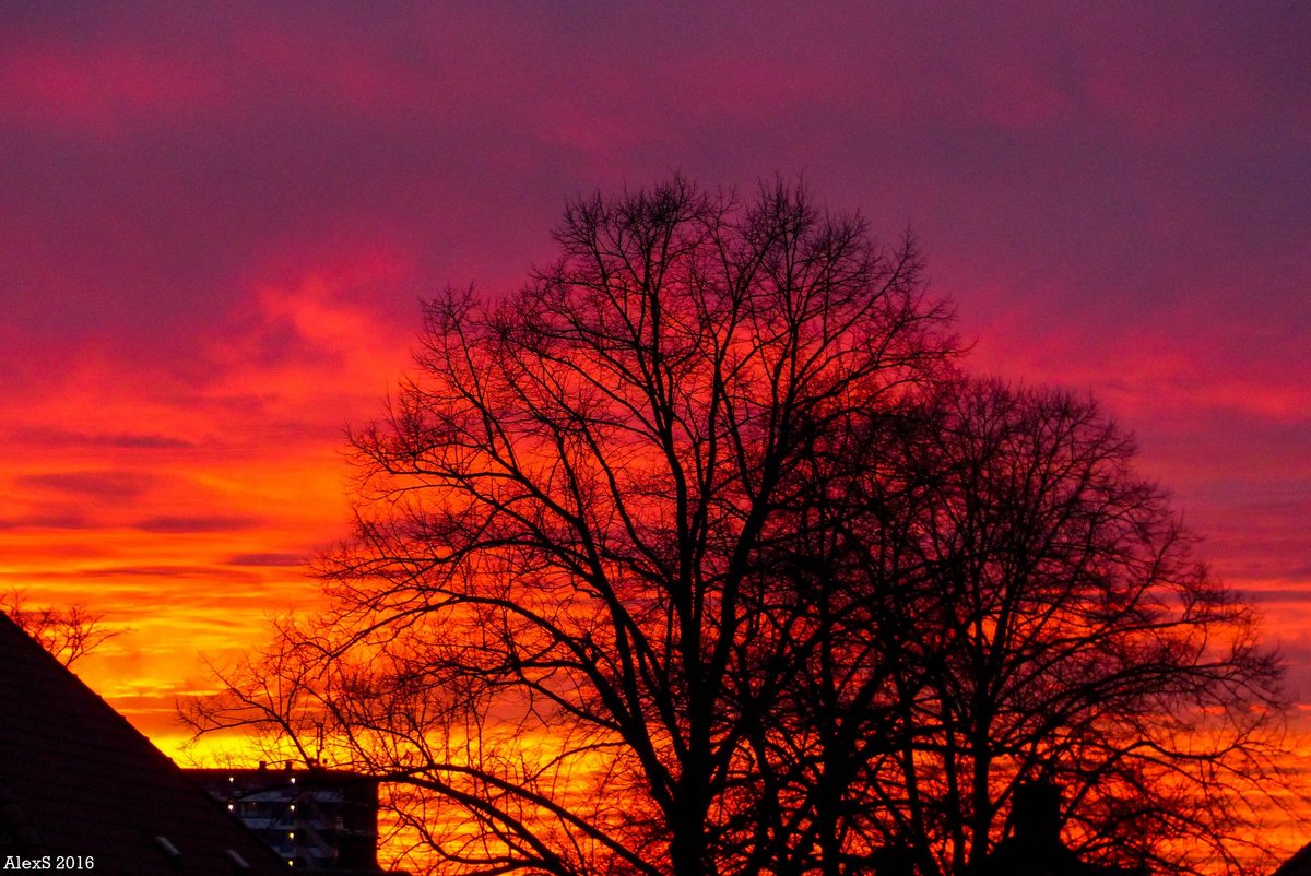 Prachtige #zonsondergang zojuist, foto van  Alex (Ede)