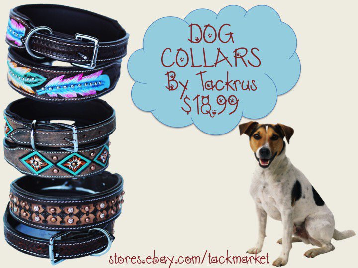 tackrus's tweet image. View all of our dog collars here! stores.ebay.com/Tackmarket/_i.…