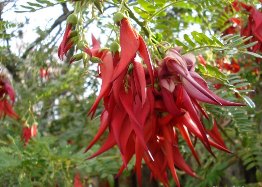 QuestionDeJour's tweet image. Are you building resilience for an uncertain future?