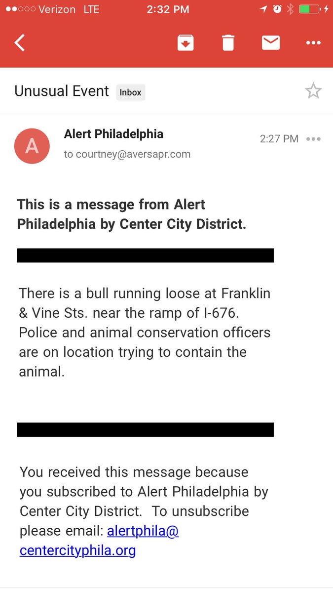 koryaversa's tweet photo. No big deal. Just a bull running free trough the city. #unusualevent #alert https://t.co/pzVg6Jd0Zm