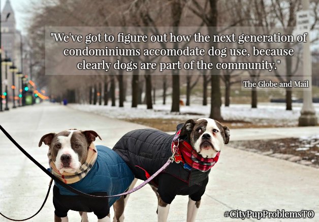 citypupproblems's tweet photo. City councillor @TOAdamVaughan sheds light on the need for condo developers to accommodate our city's dogs. https://t.co/zETZSUK88V