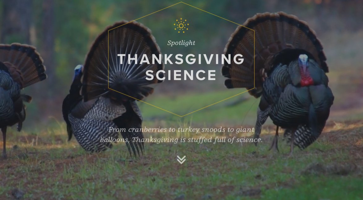 scifri's tweet photo. Pass the stuffing – and the science. https://t.co/zxrNSBFpXr https://t.co/R3KNrrPH5p