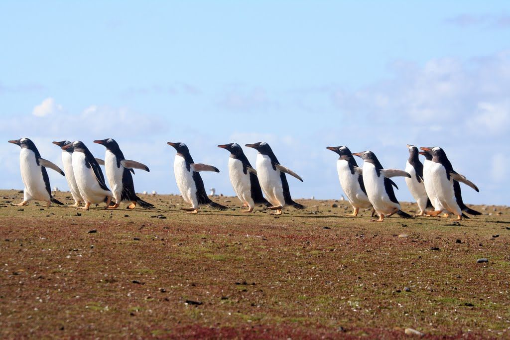 MapSights tweet media