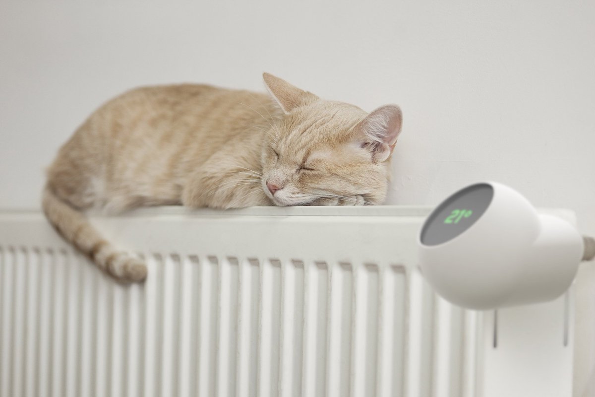 MrKaiSchmidt's tweet photo. Pimp your old #heating system with some #IoT #tech for the #winter! Check out @eCozyEurope - https://t.co/C6UbM7LbDD

#thermostat #smarthome https://t.co/7kU2K63gA0