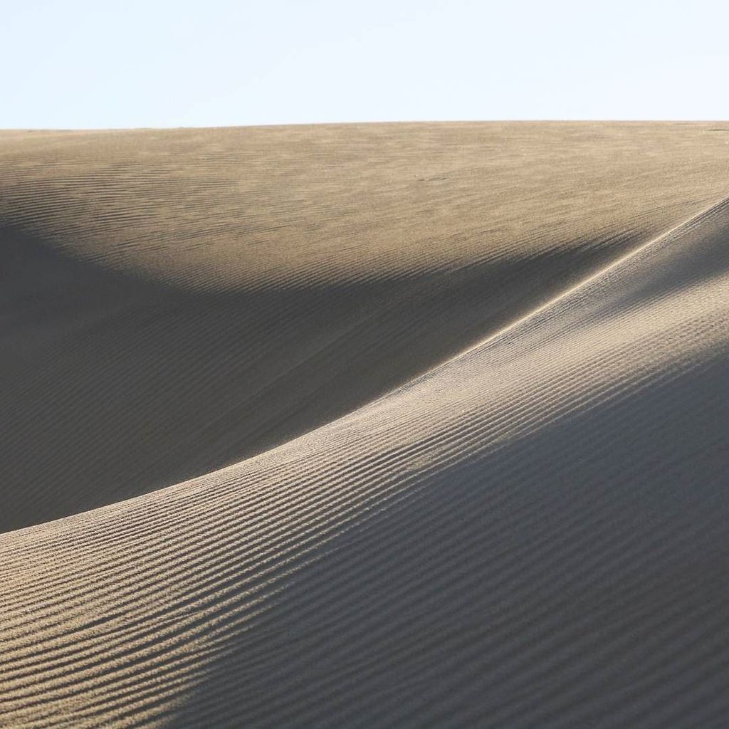 Texturologist's tweet photo. I am lucky to live on the edges of the Oceano dunes, a very special place. I can get lost … https://t.co/5uJ7AgszAA https://t.co/hcLUByVLx6
