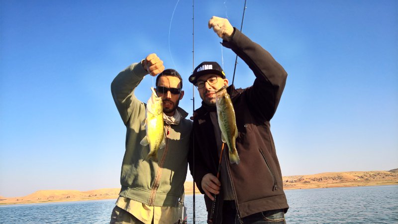 FishSharpBlog's tweet image. What's next on fishsharp.com? Second spoiler :