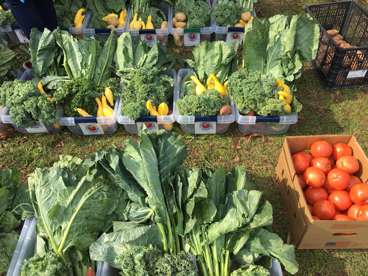 josephfieldsf's tweet image. Joseph Fields Farm is a 50-acre, certified organic fruit and vegetable farm located on the fertile John’s Island of Charleston.