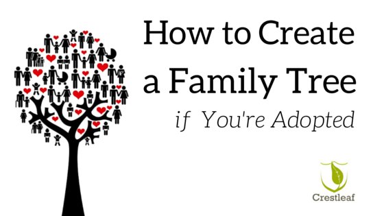 Crestleaf's tweet photo. I’m Adopted. How do I trace my family tree? https://t.co/z2NdnlY5Bv #Genealogy https://t.co/uZ1mdYxo5H
