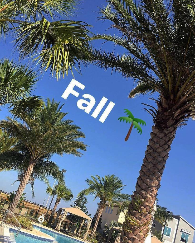 JudahHorizon's tweet photo. 🌴🍂#fall #fl🍊rida #chillin #thankful #👻 #h🍊rizonwest https://t.co/t5dPe7GXl3 https://t.co/d45hCwbRAD