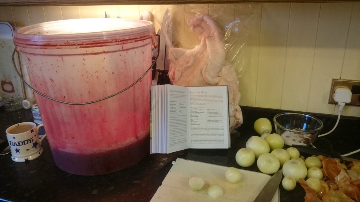 herbie_tom's tweet photo. Thanks to Bakers of Nailsea private processing, all the makings of black pudding. https://t.co/tQA1zHulNF