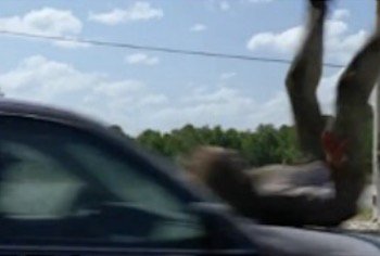 ImmortalDixon's tweet photo. “Bae come over”
“I don’t have a license”
“My parents aren’t home”

#TheWalkingDead https://t.co/wtjwbsh0Ag