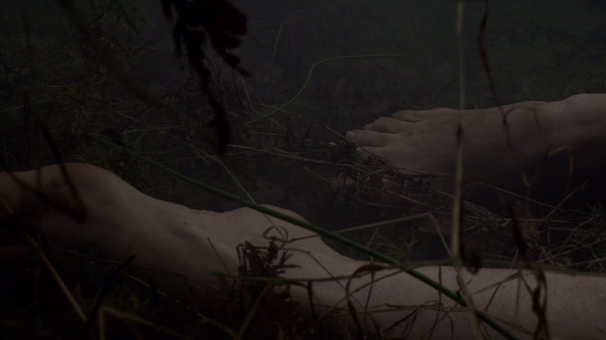 lafelinetheband's tweet photo. Le clip de #senga arrive très bientôt #womeninthewoods #ashumanpattern https://t.co/xbrJXOEh9a