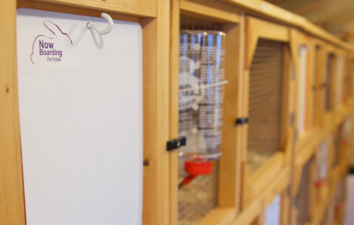 Are you booking a #festive #holiday? Let us care for your small #pets in our luxury pet hotel <a href="/NowBoardingCroy/">Now Boarding Croydon</a> nowboardingpethotels.co.uk