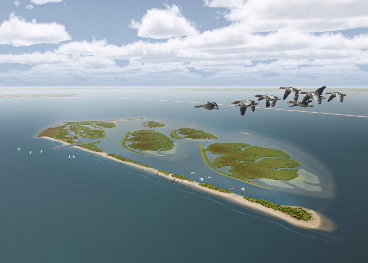 Bovisie's tweet photo. Meer dan 1.000.000 m3 baggerspecie benodigd voor Markerwadden https://t.co/0NUt4UhLQQ https://t.co/34UpkdmD5o