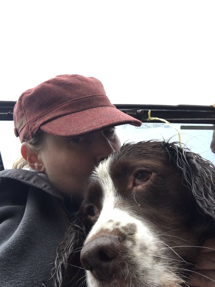 HarlequinEquine's tweet photo. #shooting #springerspaniel ❤️❤️ https://t.co/gWg08EDzfF