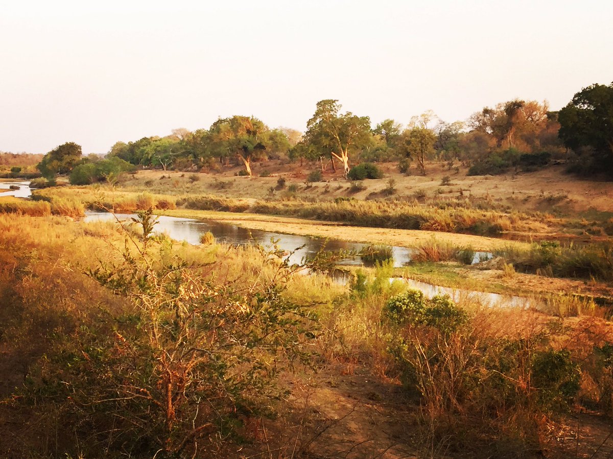 Elephant_Point tweet picture