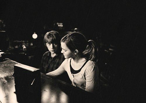 Hogwartssite's tweet image. - Te quiero.
- ¿Cuánto?
- Tanto como Newt Scamander a sus criaturas mágicas.
-