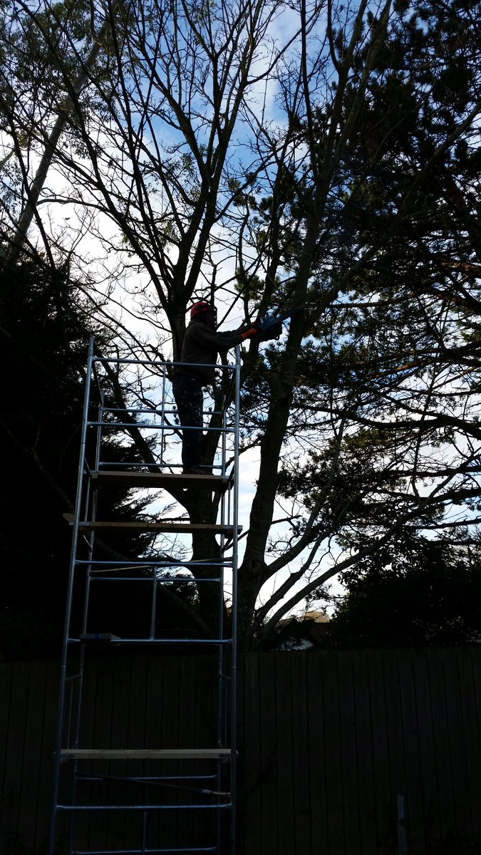 builtbybarryBBB's tweet photo. Got to use new scaffolding https://t.co/dWHyirv8AC