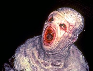 WTP Paranormal 👻🐲👽 tweet media