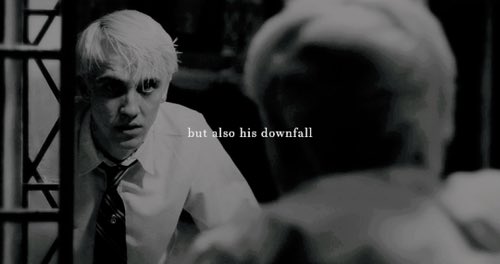 "— seine Herkunft war sein Stolz,

aber auch sein Untergang."