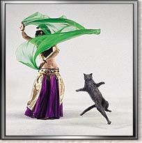 funnydog123's tweet photo. cats dancing to pop music
https://t.co/r4lIBhi6rL

#cat #cats #catlovers #kitten #kitty #kittens #dog #dogs #doglovers #animals https://t.co/VxBpoOdGVG