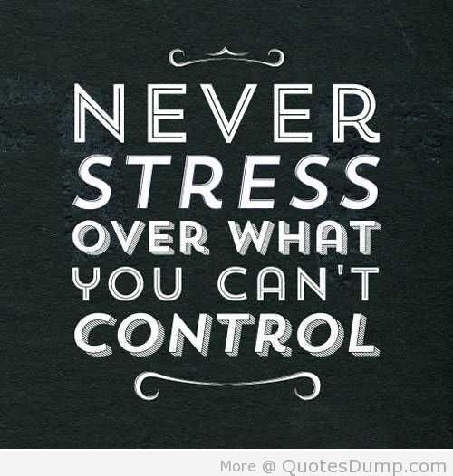 Project Shine tweet media