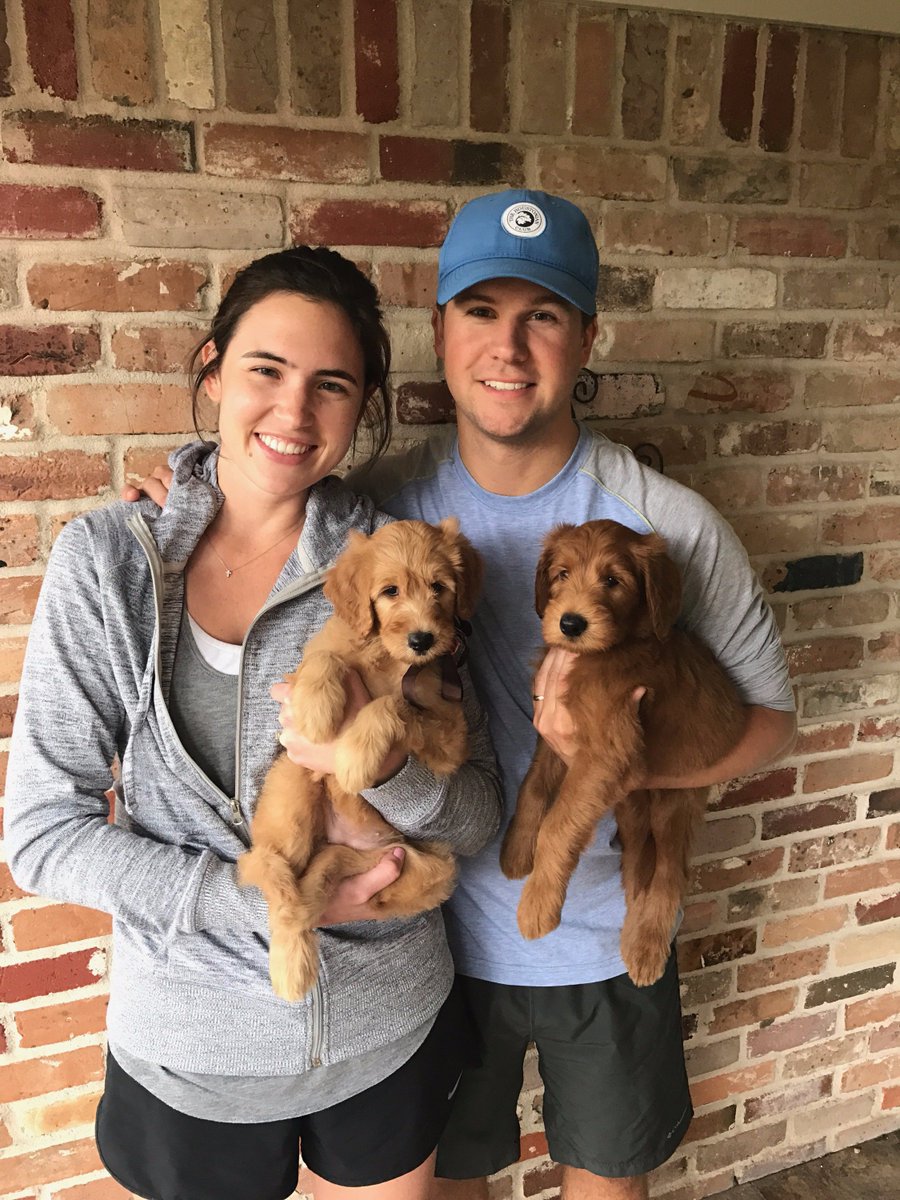 CookesPremDogs's tweet photo. Follow Theodore and Penelope's journey into their new home, through the eyes of their owner. #ADOGSJOURNEY 

READ - https://t.co/pIKwYKg4JX https://t.co/QFyaSWbLQC