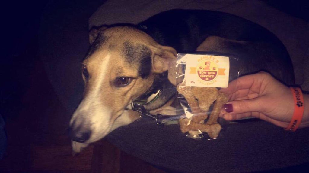 AyrshireFilmCo's tweet photo. We were fortunate to have a young lady entrepreneur from Hansel donate her dog biscuits for the film premiere of 'Gongo my journey'. https://t.co/QrAjYeccvs