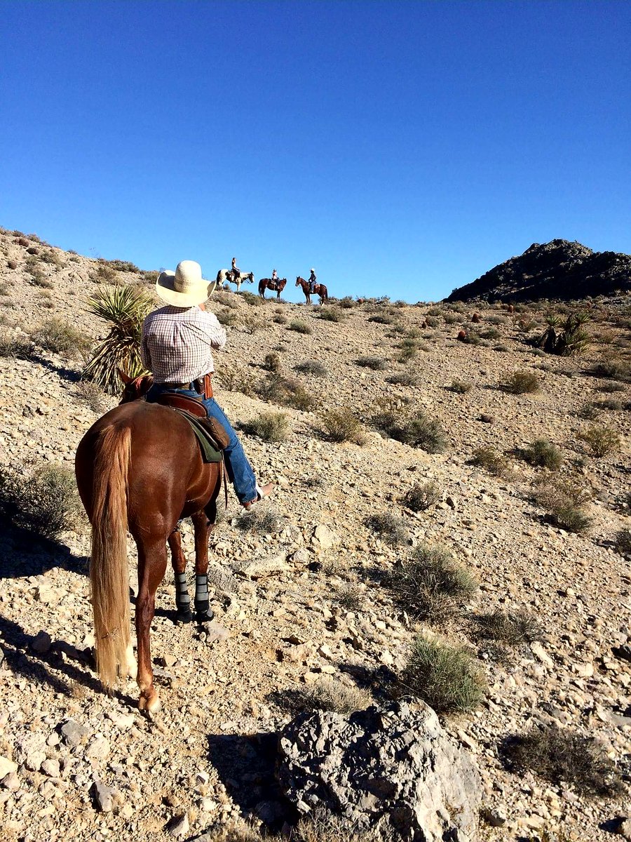 If  you're looking for a once in a lifetime adventure please visit sandyvalleyranch.com #SandyValleyRanch  #yeehaw