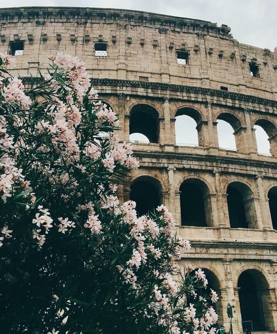 jenydeny's tweet photo. Datos curiosos sobre #Roma en este Post para @ExpediaMX ❤️https://t.co/Gnwc2QPoOG #ExpediaMX https://t.co/rRpqHh5Y2t