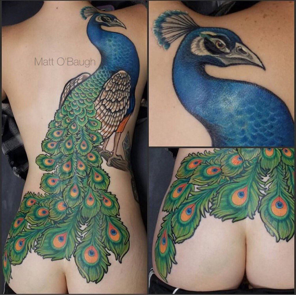 Small peacock tattoo, Peacock tattoo, Tattoos